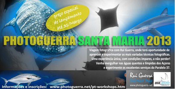 Photoguerra-top