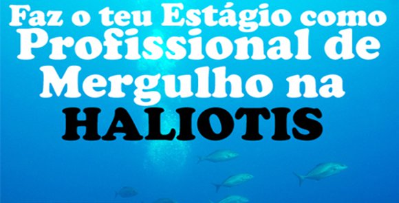 Haliotis_top